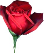 Click On image to download