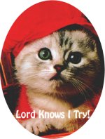 Click On image to download