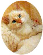 Click On image to download