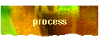process