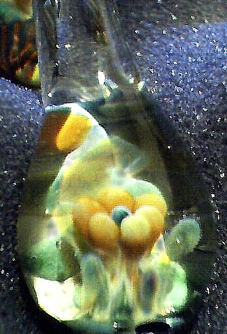 Glass Flower Image