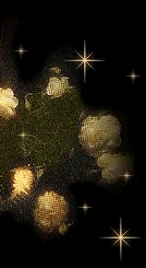 CLICK TO ENTER REALM