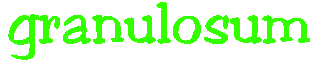 granulosum.gif