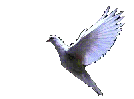 HOLY1.gif(40342 bytes)