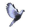 HOLY2.gif(40342 bytes)