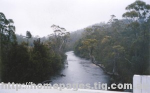 mistybridgewestc.jpg