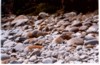 BLUEPEBBLES3.jpg