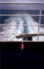 SPIRITOFTASPILKESTERN.jpg