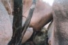 boulderswgbay1.jpg