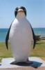 penguinpilk.jpg