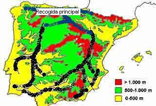  ? Publicidad y Cactus de Ordenador ? Enterate porque no se resuelven tus problemas del agua: ? otas y esperas te lo resuelvan los que la tienen ...? 