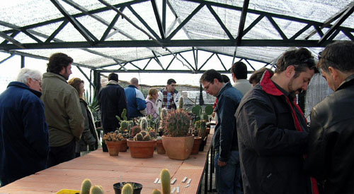  Bot�nico de Alcala de Henares, Servicios Colecciones Cactus y Crasas: Hay colecciones especiales de arboles, orquideas, plantas suculentas, carnivoras, etc. Podeis venir y participar. Hay muchos arboles en Jard�n Taxon�mico.