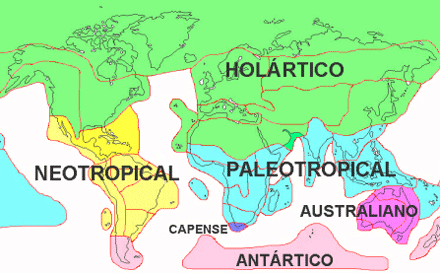 Zonas floristicas y su evolucion en la tierra.