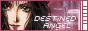 Destined Angels