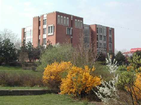 Spring time 2004