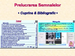 00_PS_Curs_TiSuBi_pp#1-2.pdf