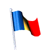 In Romanian