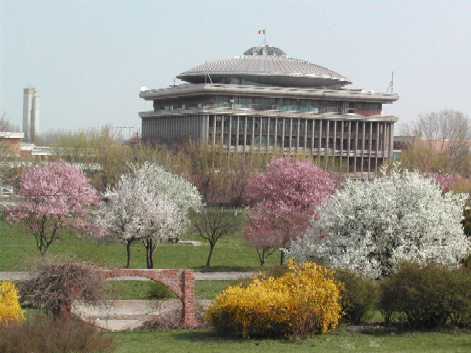 Spring time 2004