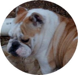 Amy