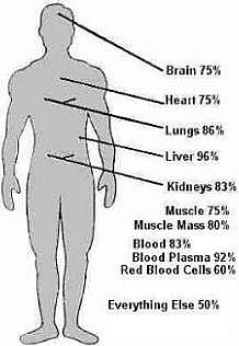 The Body