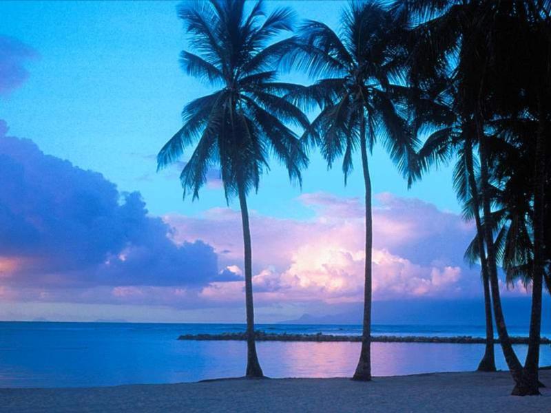 Night view