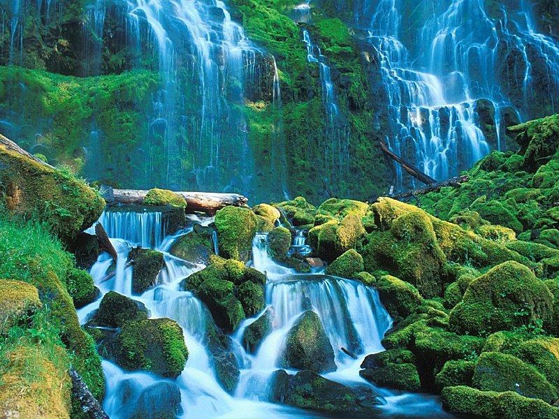 Nature wonder