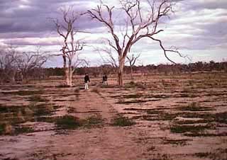 dry lake bed