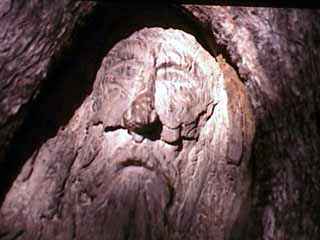 Burke's image at the Dig Tree