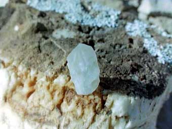 crystal