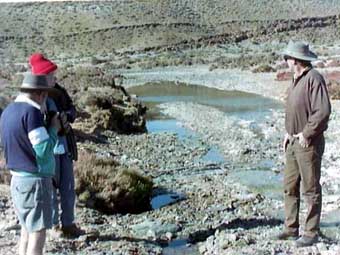 Farina Springs