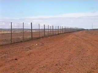 Dingo Fence