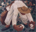 Cosechero
