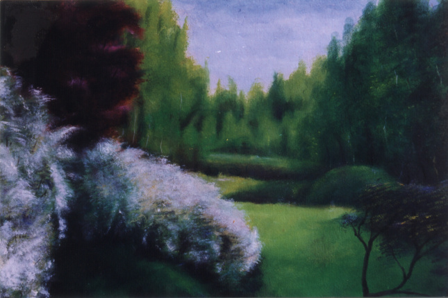 Paisaje