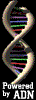 adnpowered.gif (13156 bytes)