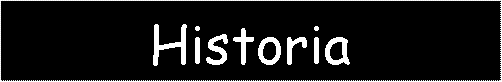 Cuadro de texto: Historia