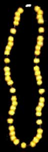 collar 1