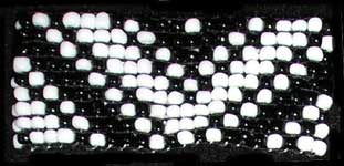 pulsera1