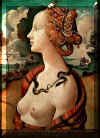 Simonetta Vespucci - Piero di Cosimo.JPG (142711 bytes)