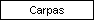 Carpas
