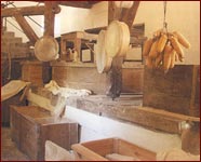 FOTO2