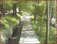FOTO2