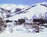 Bailoche Nevado