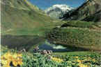 Aconcagua