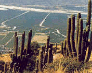 Cafayate