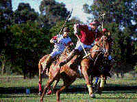 Polo