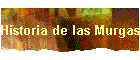 Historia de las Murgas