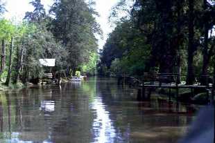 Arroyo