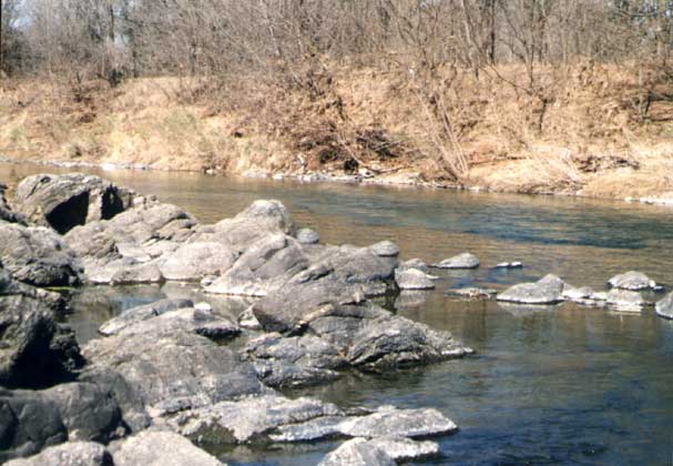 Río 6