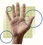 hand.gif (13930 bytes)