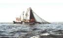 Faena_de_Pesca.JPG